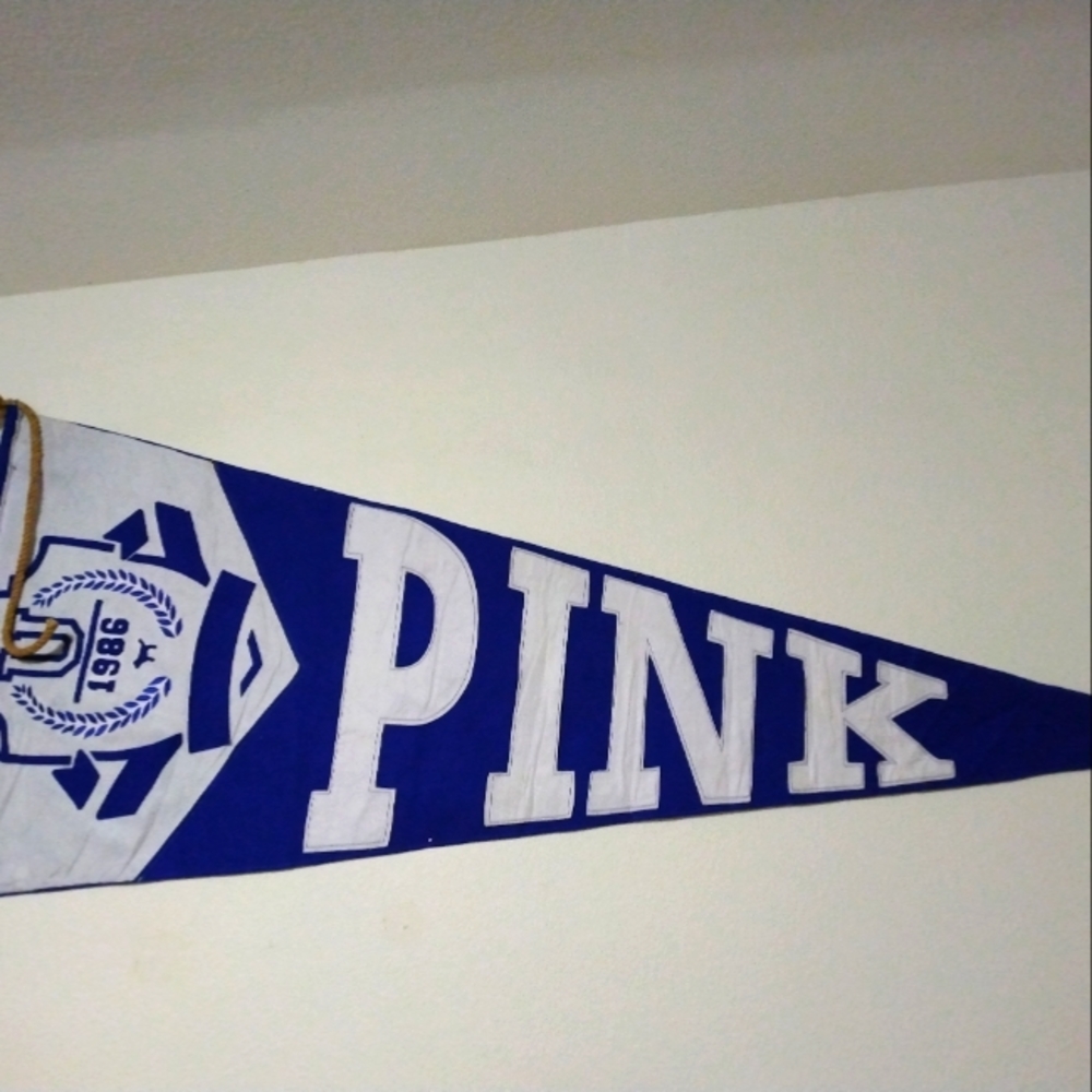 7 Foot Long VS PINK Display Pennant